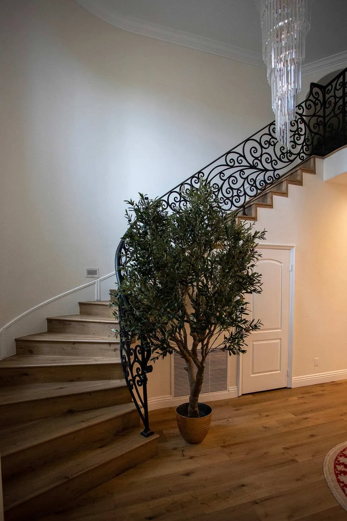 Curved staircase with a wrought-iron balustrade beside an olive tree